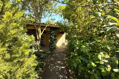 Image de Gîte nature avec piscine dans le minervois