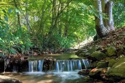 Image de Creekside home with hot tub within 30 mins to Asheville
