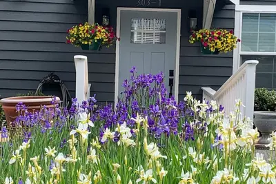 Image de Cozy first floor in-town condo.