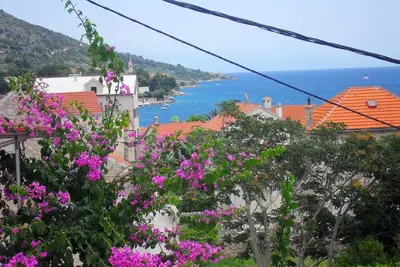 Image de Appartements Klisović (32591-A2) - Bol - île de Brac
