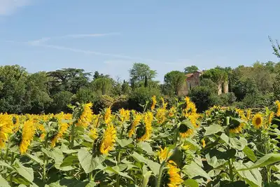 Image de Le gîte Château Sud, le charme de la Toscane au coeur du Lauragais.
