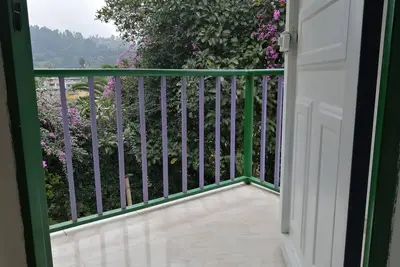 Image de Frailejones in Salento