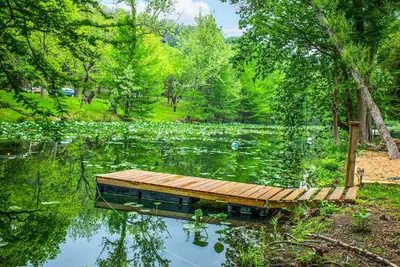 Image de Slowpoke Cabin on Turtle Creek