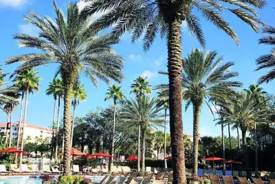 Image de Luxury 2 Bedroom Condo sleeps 8 available over July 4th!