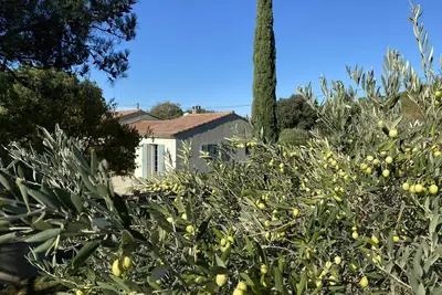 Image de Au jardin des Oliviers - villa provençale en Luberon