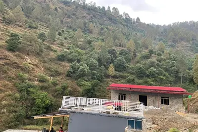 Image de Surrounded by mesmerising multitude of trees, beautiful valleys, and Mrig (deer)