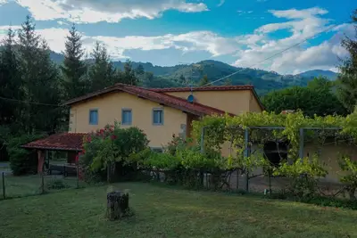 Image de Podere il Pino
