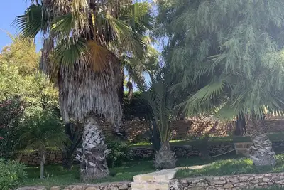 Dar Zitoune, maison de compagne à 12 minutes de la plage