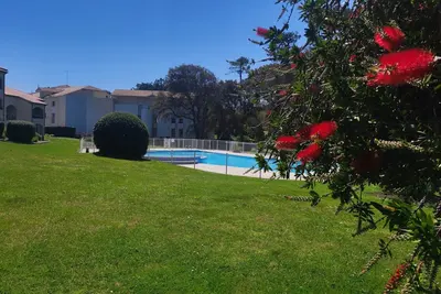 Image de Piscine, océan et farniente sous les pins à Open Sud.