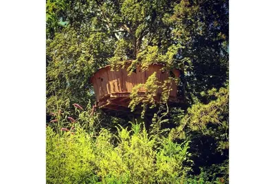 Image de La cabane Au fil de l'eau à 8 mètres de hauteur