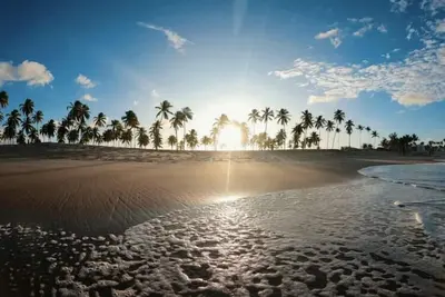 Image de MaracaĂpe Porto de Galinhas Beachflats I flat 309
