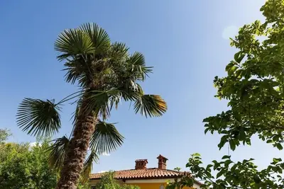 Appartement de vacances Portoroz pour 1 - 2 personnes avec 1 chambre à coucher - Appartement de vaca