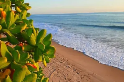 Image de Orchid Island Family Getaway w/Private Beach and Hot Tub