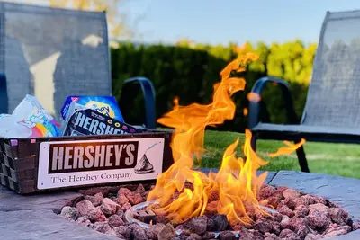 Image de 10 Minutes To Hershey w/ Firepit & Grill