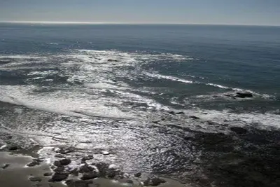 Image de Luxurious 2 Bedroom 2 Bath Oceanfront Condo