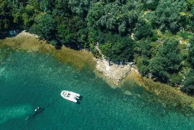 Image de Happinest Treehouse - A magical cabin by the sea with amazing views.
