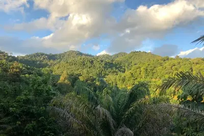 Image de Kemuning Orchard Villaa