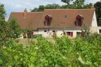 Image de Cottage au coeur d'un vignoble avec piscine privative en saison