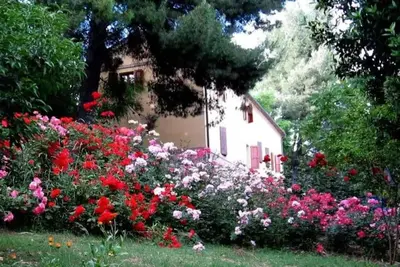 Image de App. in the Marchigian Country, Multifamily