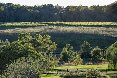 Image de Charming Cottage on beautiful Farm & Vineyard
