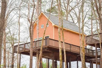 Image de Romantic Treehouse Paradise