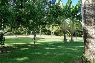 Image de Bungalow Sapotille (2 personnes)