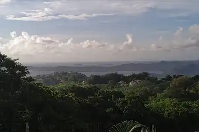 Image de Maison au centre de la Martinique avec 2 chiens à garder