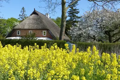 Image de Im Feriengarten -ferienwohnung im Dg - Im Feriengarten -ferienwohnung im DachgeschoĂź