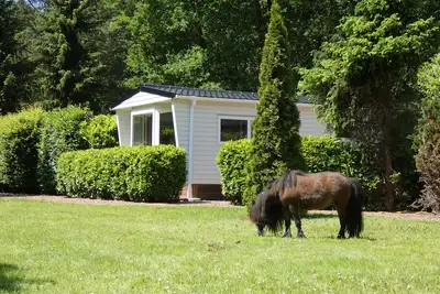 Image de Boshuisje op rustiek terrein