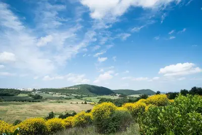 Image de Bel appartement avec Wifi, piscine, climatisation, Tv, patio, animaux admis et vue panoramique