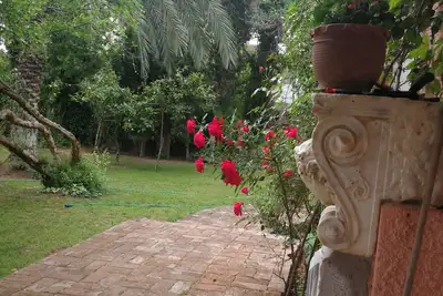 Image de Small villa with a large private and quiet garden, 10 min walk from Metro