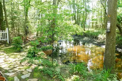 Image de 34039 Monterray Avenue - Clearwater