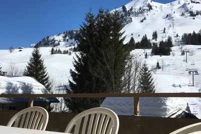 Image de À 300m des pistes de ski, 1er étage, vue montagne\/rue\/pistes de ski, terrasse