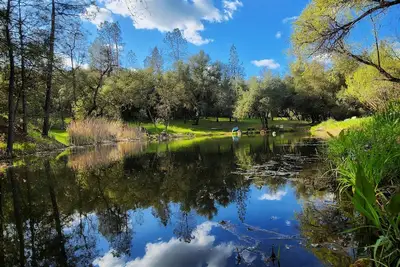 Image de Peaceful Pond Retreat - Waterfront Camper Glamping