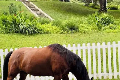 Image de Historic Farmhouse w/ Friendly Horse, Goats, & Fresh Eggs!