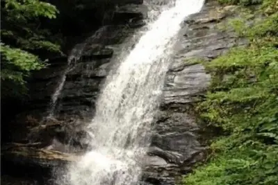 Image de Bearfoot Falls-Privately Owned 110-foot Waterfall~22 Acres-Hiking trails~Hot Tub
