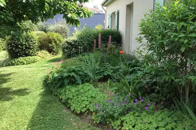 Image de les coquelicots 1