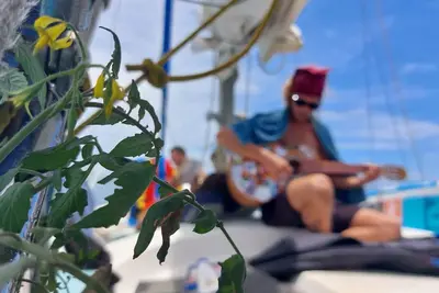 - Sv La Francesca - san blas paradise on bord of private sailboat