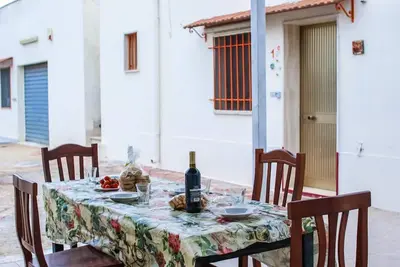Citrus #1 [garden barbecue parking]