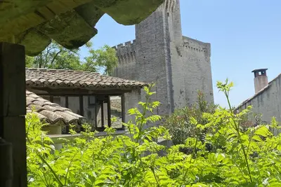 Image de Charming \"Provençal\" Village House with Flowery Courtyard