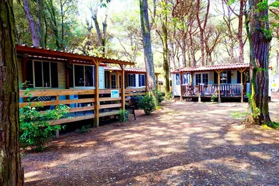 Image de Luxury Chalet near the sea! (no: 719)