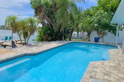 Image de Spot dolphins from the pool! Simply amazing!