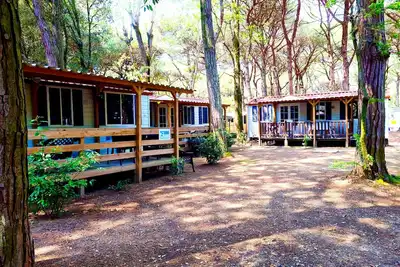 Image de Luxury Chalet near the sea! (no: 727)