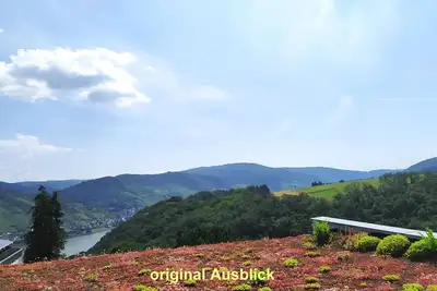 Image de Fantastic view high above the Rhine