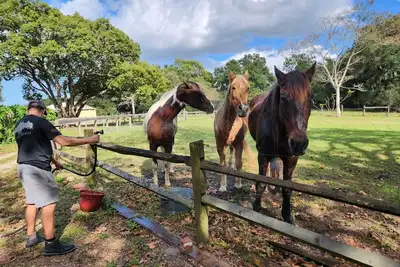 Image de New luxury Tiny House(s) on 6 acres with horses. Sunsets, fire pit, & Hot tub.
