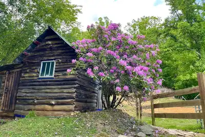 Image de Cozy Cabin: Peaceful Haven in the Heart of Nature