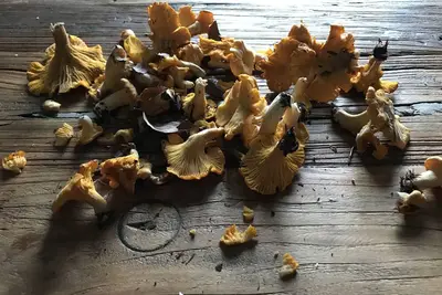 Image de Villa med egen pool på vackra Österlen. Avskilt och naturnära