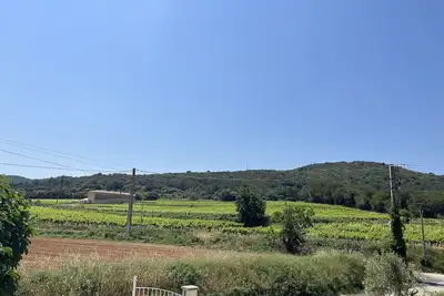 Image de Gîte des oliviers