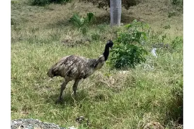 Image de Rancho Sierra Alta