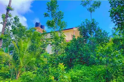 Image de View point homestay Coorg! !